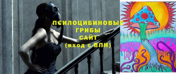 дмт Россошь