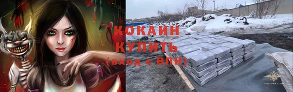 сатива Баксан