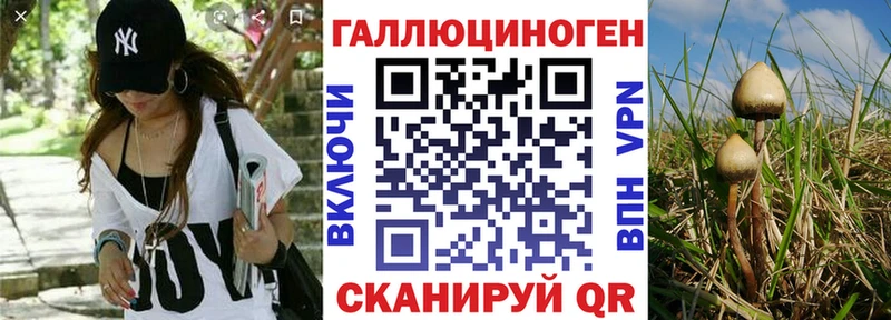 Галлюциногенные грибы MAGIC MUSHROOMS  кракен зеркало  Козельск 